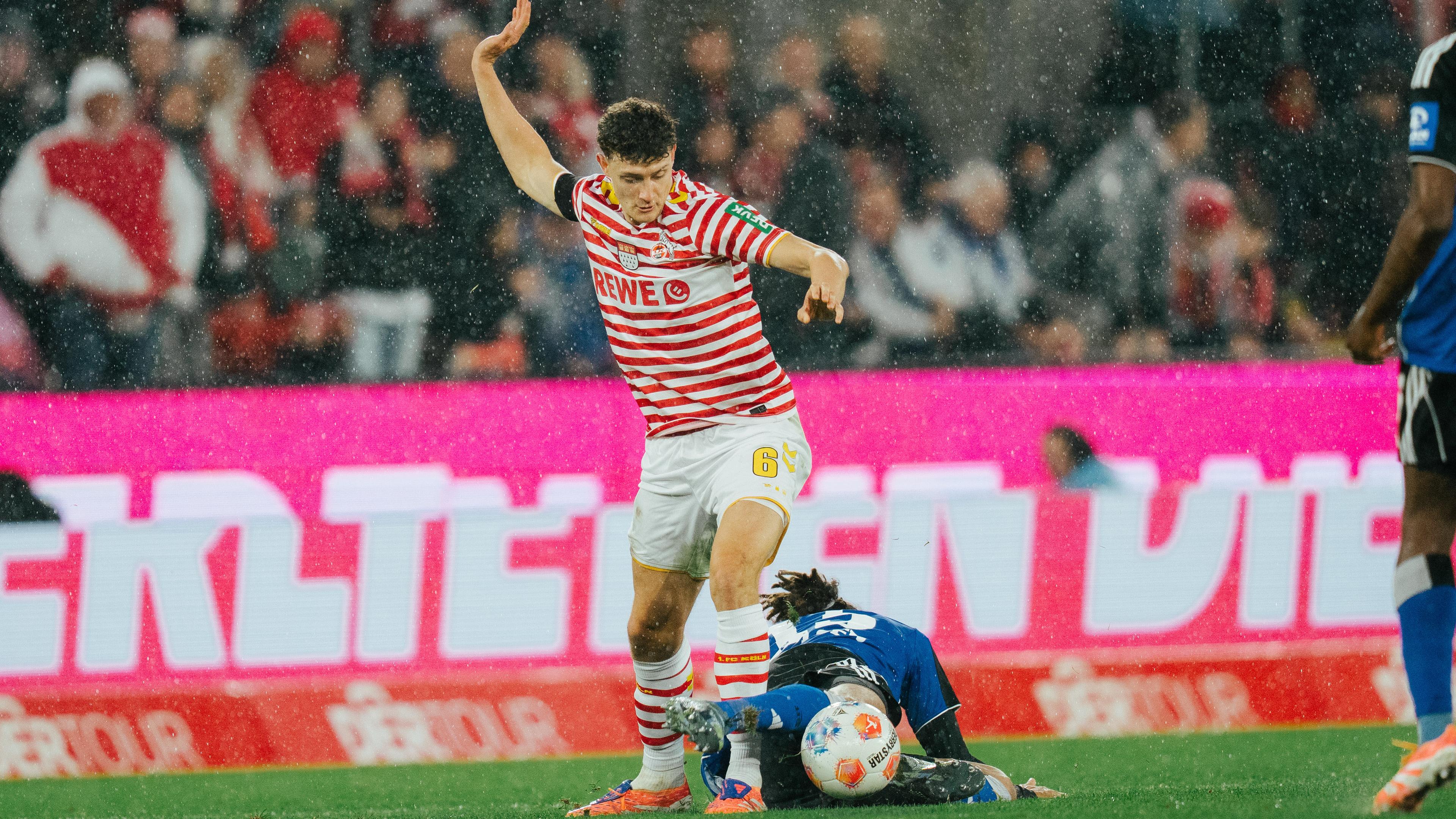 20251103 Elf des Tages.jpg