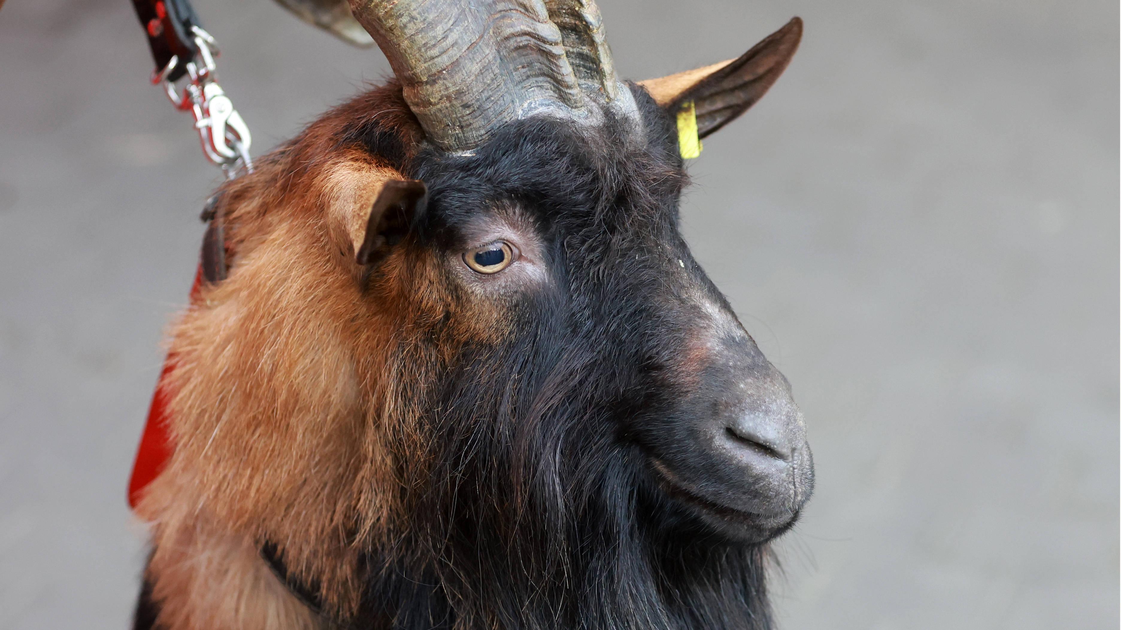 20250213_Hennes.jpg