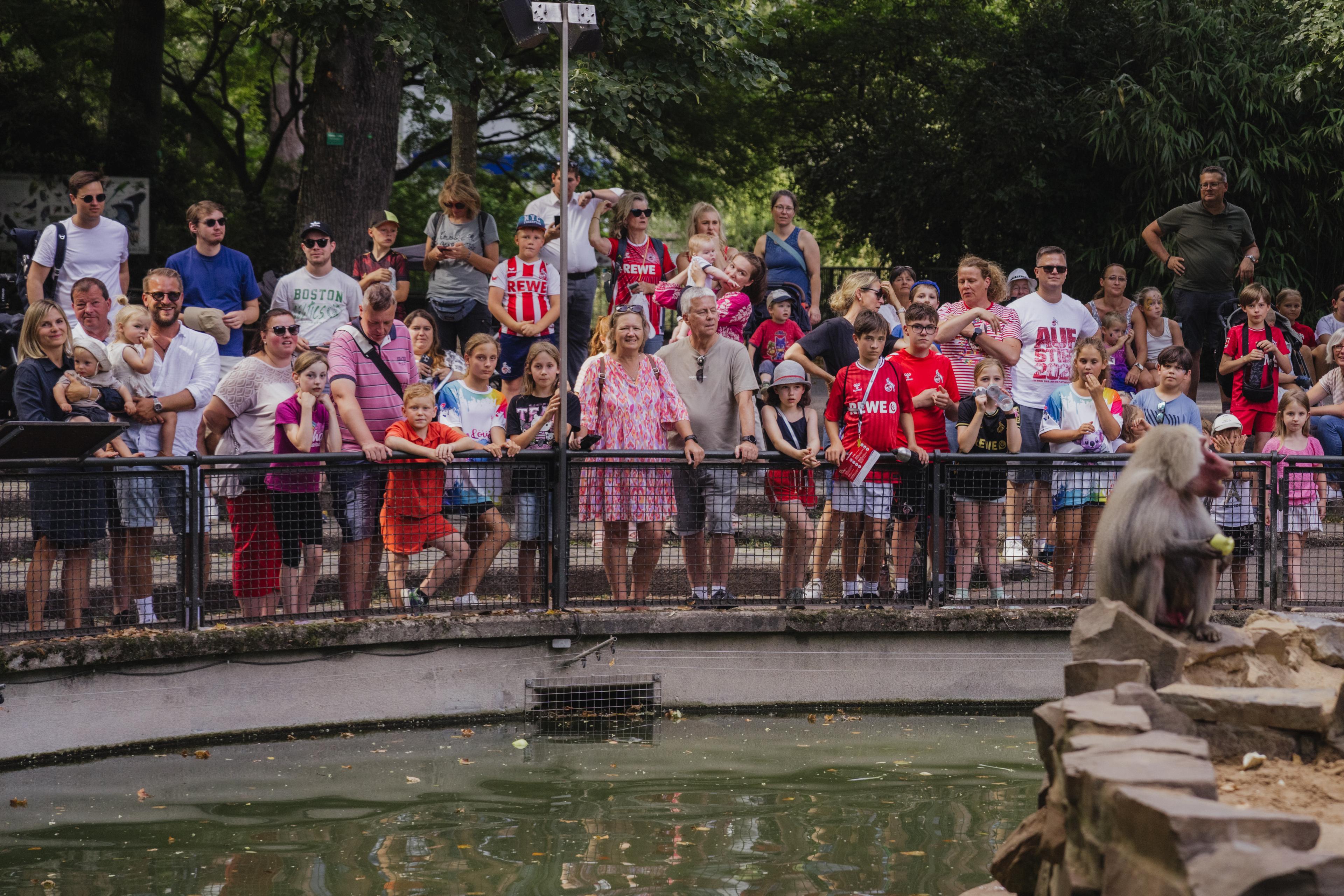 250826_fc-zootag-2025-34 1.jpg